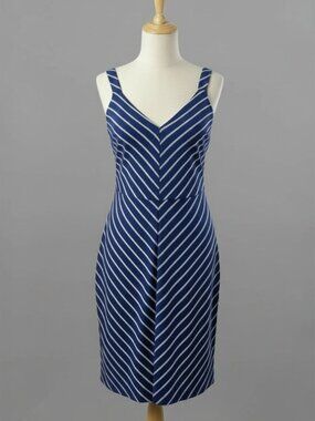 Banana Republic Blue Striped Dress